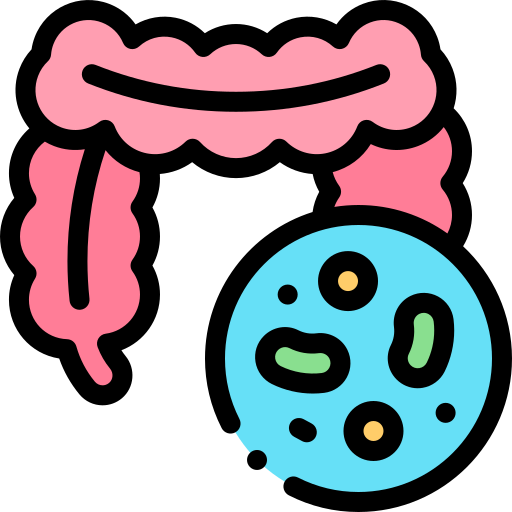 Home gut cleaning